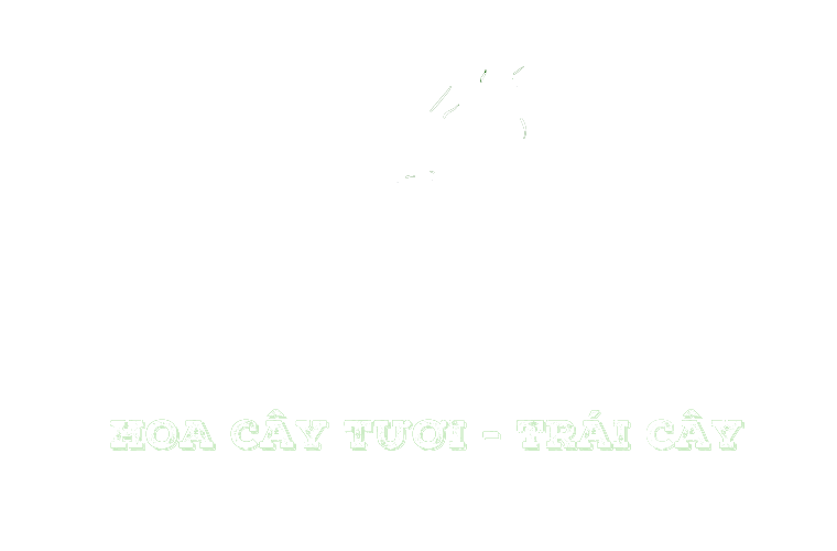Hoa tươi Thùy Ngân